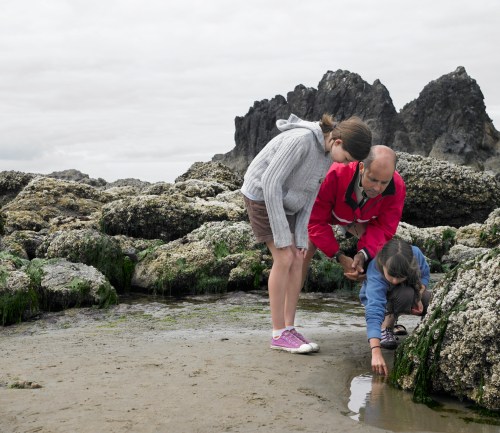 A man and two children explore tide pools on a rocky beach, examining marine life among the rocks.