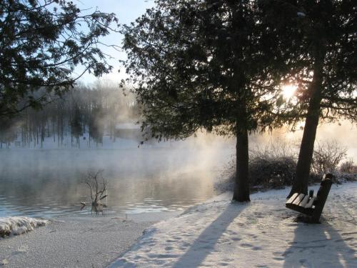A serene winter scene with a misty lake, snow-covered ground, and a bench under trees, illuminated by soft sunlight.
