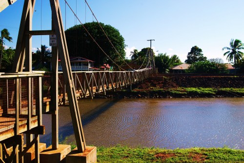 A suspension bridge spans a calm river, surrounded by lush greenery and palm trees under a clear blue sky.