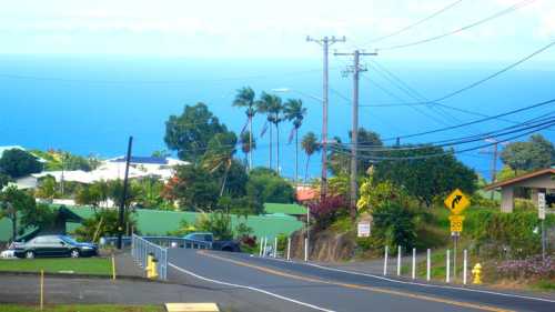 A scenic view of a coastal road lined with palm trees, leading to the ocean in the background.