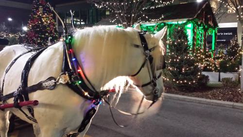 A white horse adorned with colorful lights stands near a festive, decorated Christmas scene at night.