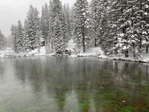 A serene winter scene of a snowy forest by a calm lake, with a cabin partially visible among the trees.