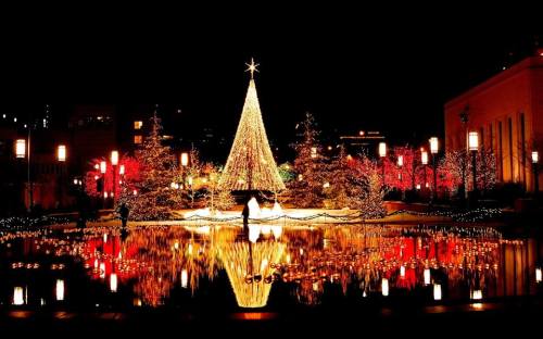 A beautifully lit Christmas tree and festive decorations reflect in a calm pond at night.