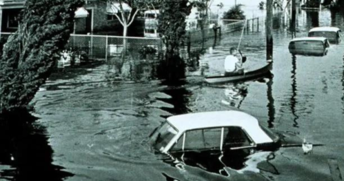 A flooded street with submerged cars and a person in a small boat navigating through the water.