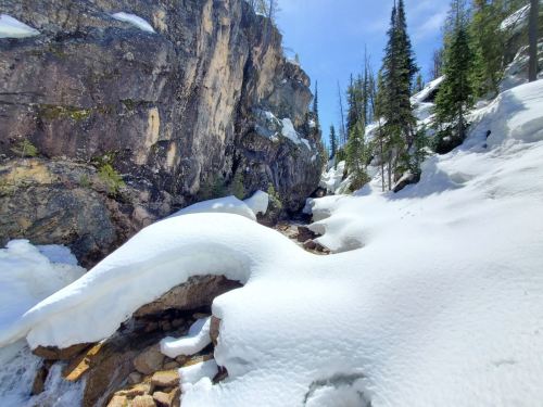 A snowy landscape with a rocky cliff and evergreen trees under a clear blue sky. A small stream flows through the snow.