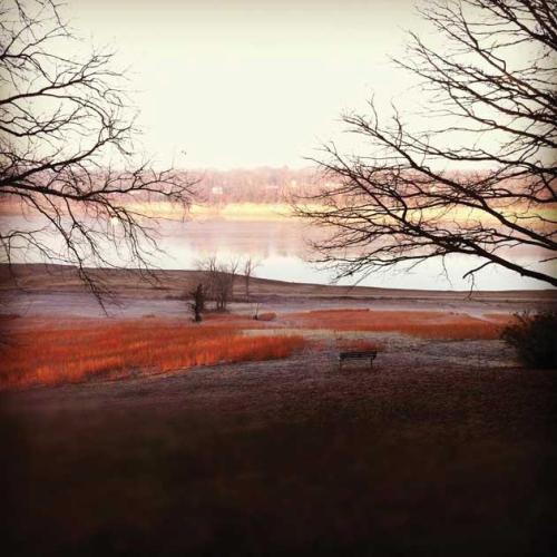 A serene lakeside view with bare trees, orange grass, and a distant bench under a soft, hazy light.