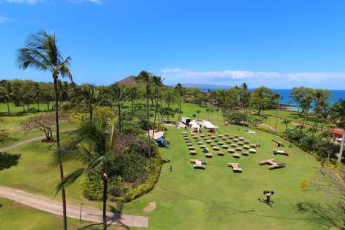 A sunny outdoor venue with palm trees, green grass, and arranged seating overlooking the ocean.