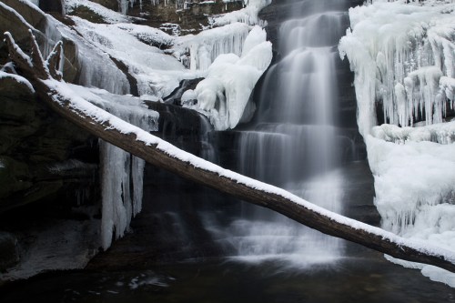 A frozen waterfall surrounded by ice formations and a fallen tree branch in a serene winter landscape.