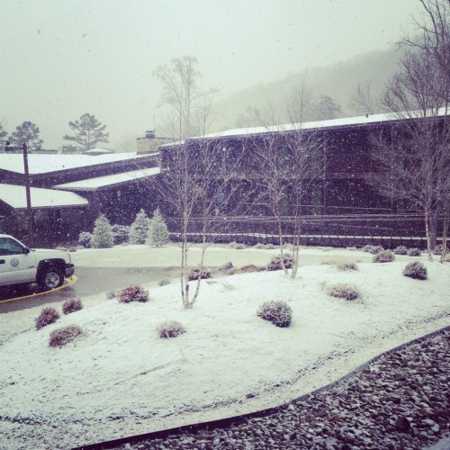 A snowy scene featuring a parked truck, trees, and a building in the background, with snowflakes falling gently.