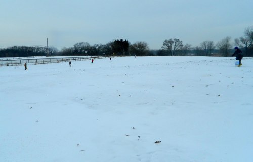A snowy field with several people walking in the distance, surrounded by trees and a cloudy sky.