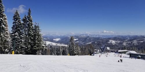 Snow-covered mountains and trees under a clear blue sky, with skiers on the slopes in the foreground.