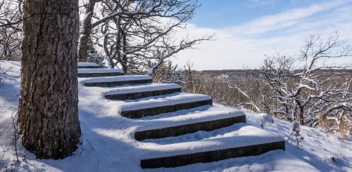 Snow-covered stone steps lead up a hillside, surrounded by bare trees and a clear blue sky.
