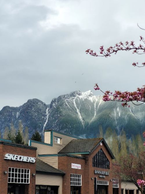 A storefront with mountains in the background, partially covered in snow, and cherry blossoms in the foreground.