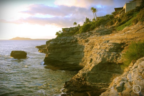 Sunset over rocky coastline with palm trees and a distant island, creating a serene coastal landscape.