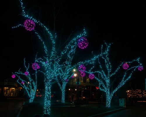 Colorful trees adorned with blue and purple lights, creating a festive atmosphere at night.