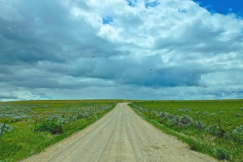 A dirt road stretches into the distance, flanked by green fields under a cloudy sky.
