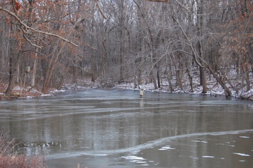 A tranquil river scene surrounded by bare trees, with a hint of snow on the ground and a calm, reflective water surface.