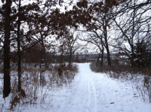 A snowy path winding through a forest with bare trees and a cloudy sky.