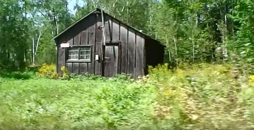 A small, rustic black wooden cabin surrounded by lush greenery and wildflowers.