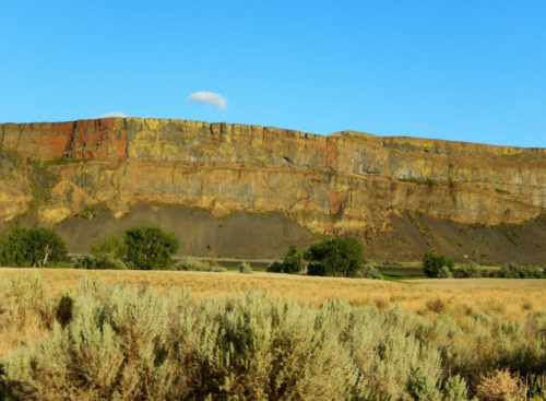 A rugged cliffside rises above a grassy plain under a clear blue sky, with sparse vegetation in the foreground.