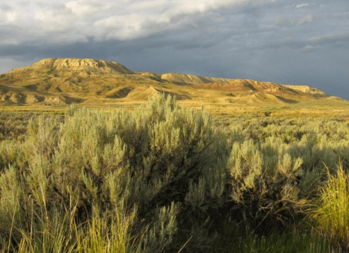 A scenic view of rolling hills and sagebrush under a cloudy sky, showcasing the beauty of a natural landscape.