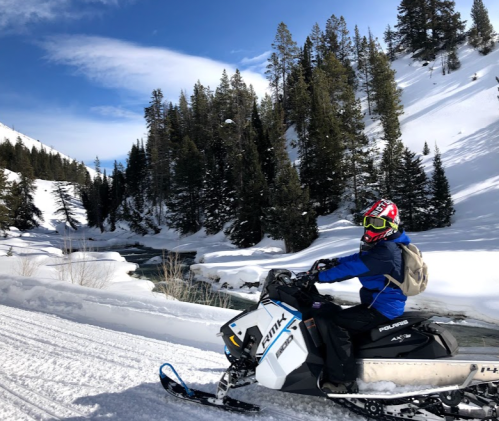 A person on a snowmobile rides through a snowy landscape with tall trees and a stream in the background.