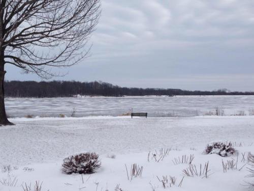 A snowy landscape with a frozen lake, bare trees, and a bench overlooking the serene winter scene.