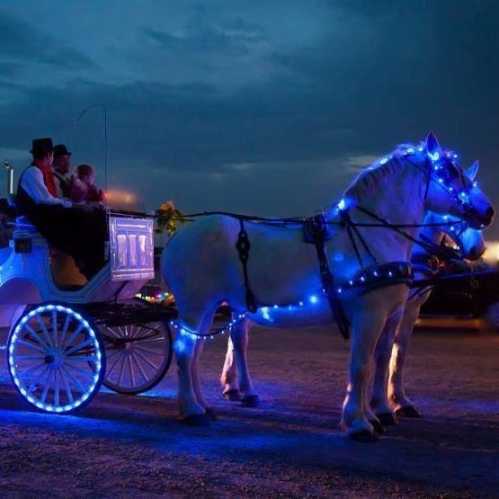 A lit-up horse-drawn carriage with blue lights, parked at night with two passengers inside.