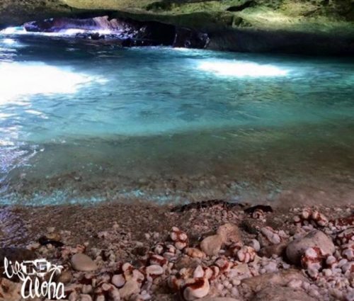 A serene underwater scene with clear blue water and sandy bottom, featuring shells along the shore.