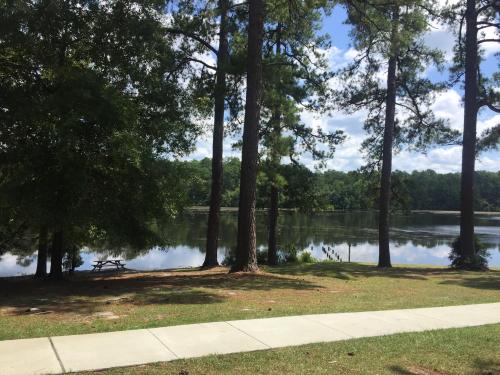 A serene lake surrounded by tall trees, with a grassy area and a walking path in the foreground under a blue sky.