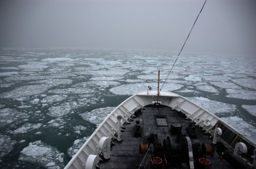 A ship's bow navigating through icy waters, surrounded by floating ice in a foggy atmosphere.