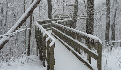 A snow-covered wooden walkway winds through a snowy forest, surrounded by trees in a winter landscape.