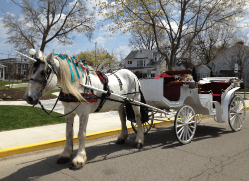 A white unicorn with colorful decorations stands beside a classic horse-drawn carriage on a sunny street.