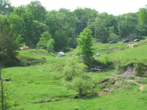 A lush green landscape with tents set up, surrounded by trees and a few parked cars in the background.