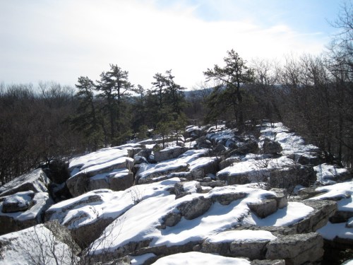 Snow-covered rocky landscape with sparse trees under a cloudy sky.