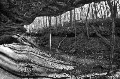 A black and white image of a forested area with a rocky overhang and shadows cast on the ground.
