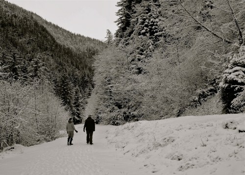 A couple walks hand in hand along a snowy path, surrounded by trees and mountains in a winter landscape.