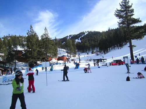 A snowy ski resort scene with people skiing, trees, and mountains in the background under a blue sky.