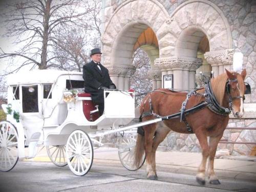 A horse-drawn carriage with a driver in formal attire, parked near a stone building.