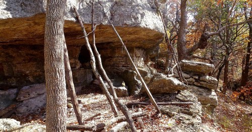 Rocky outcrop surrounded by trees and fallen branches in a forested area with autumn foliage.