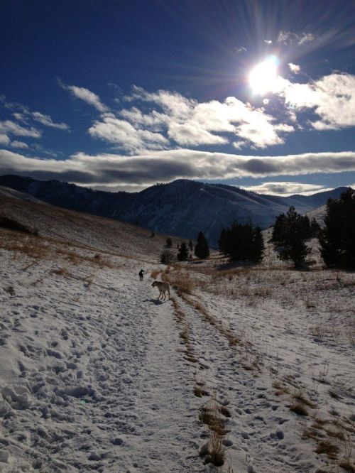 A snowy landscape with a path, mountains in the background, and a person walking a dog under a bright sun.