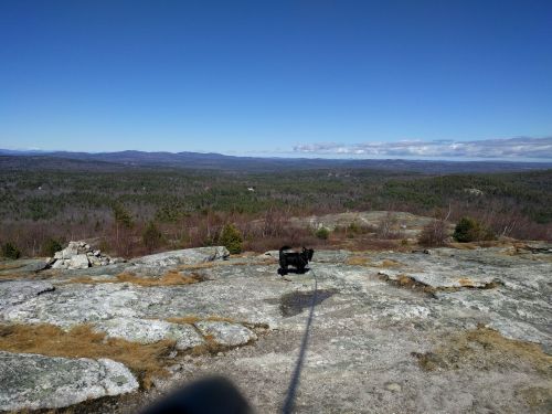 A black dog stands on a rocky outcrop, overlooking a vast green landscape and blue sky in the distance.