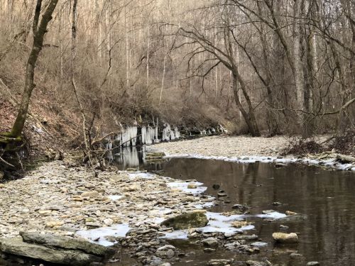 A serene creek flows through a rocky landscape, surrounded by bare trees and a gentle slope.