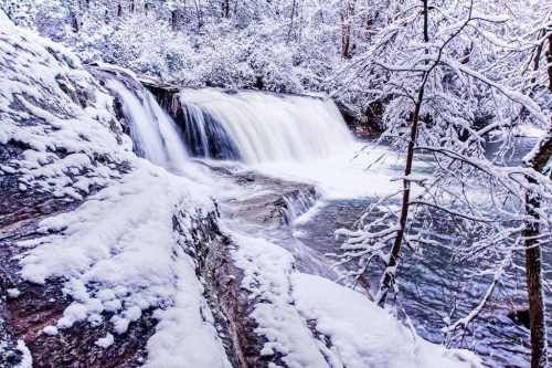 A serene winter scene featuring a waterfall surrounded by snow-covered trees and a rocky landscape.