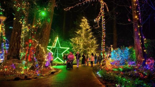 A festive pathway illuminated with colorful lights, featuring a large star and a Christmas tree, with people walking through.