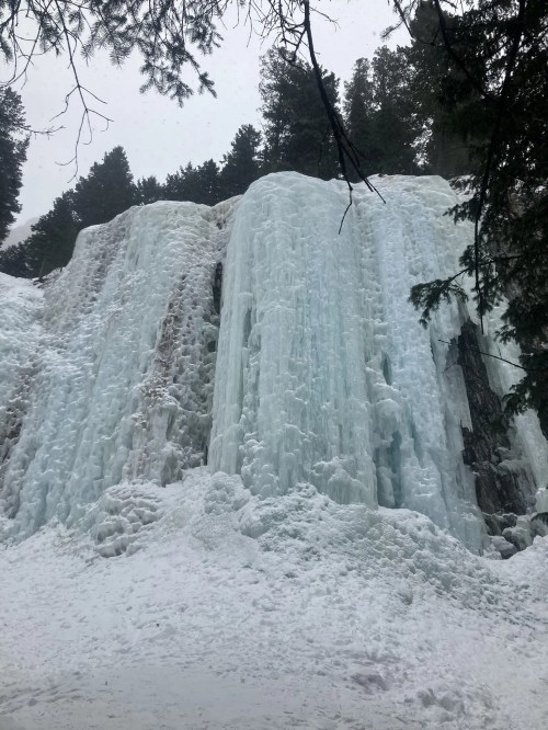 A frozen waterfall surrounded by snow-covered trees on a cloudy day.