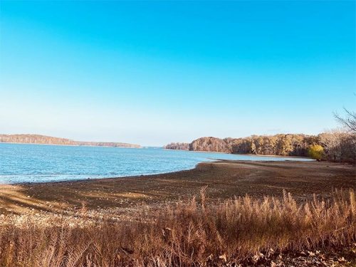A serene lakeside view with a clear blue sky, trees lining the shore, and a calm water surface.
