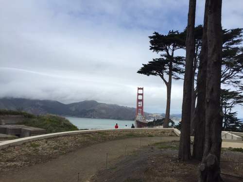 View of the Golden Gate Bridge through trees, with a cloudy sky and hills in the background.