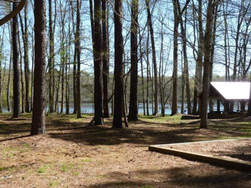 A serene forest scene with tall trees, a clear lake in the background, and a small shelter on the right.