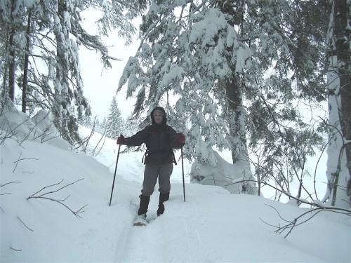 A person hiking through a snowy forest, surrounded by tall trees covered in snow.